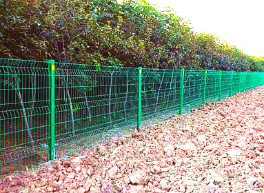 果園山林圍欄 果園山林圍欄